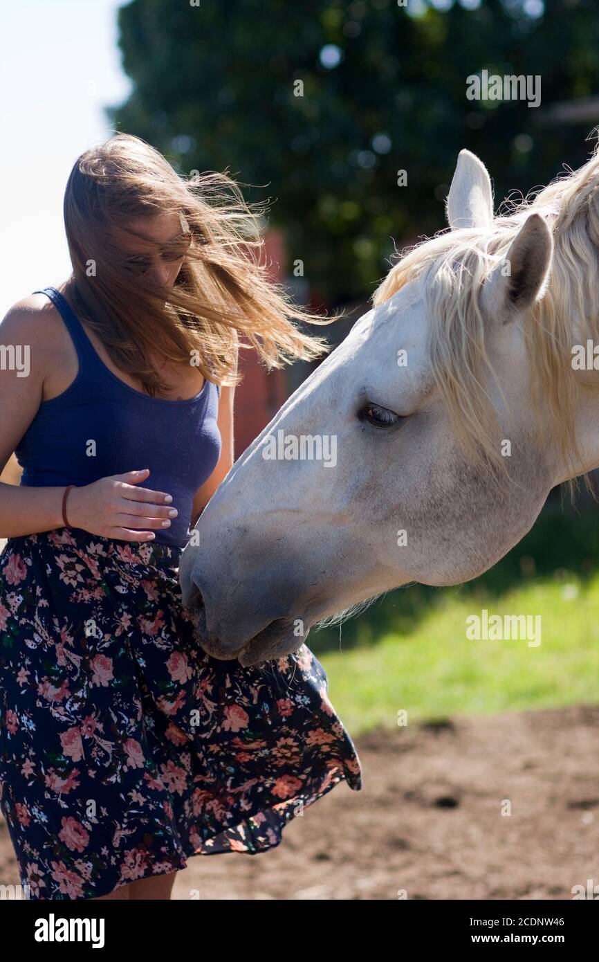 Una donna che indossa una gonna floreale interagisce con un bel cavallo Percheron bianco in una giornata ventosa. Foto Stock