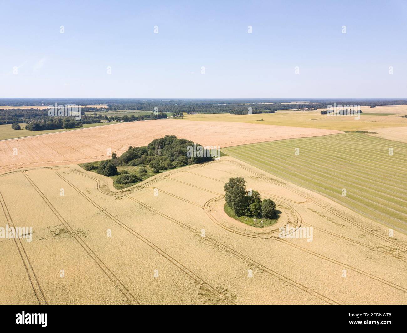 Natura e paesaggio estoni Foto Stock