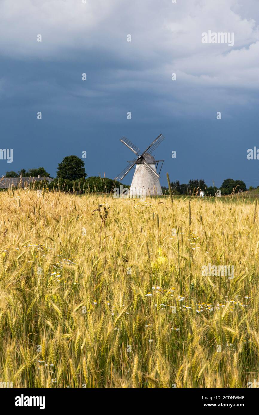 Mulino in Estonia Foto Stock