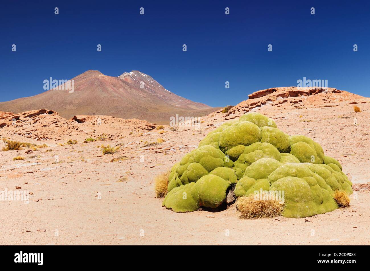 Bolivia - Reserva Nacional de Fauna Andina Eduardo Avaroa.The MOST Bellissima Ande in Sud America Foto Stock