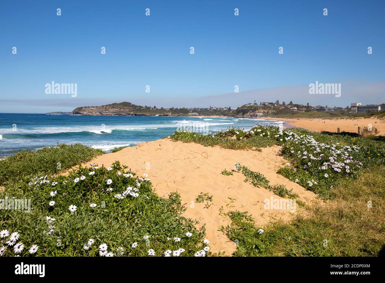 Spiaggia di Sydney Mona vale sulla costa orientale di Sydney In un giorno di inverni cielo blu, Sydney, Australia Foto Stock