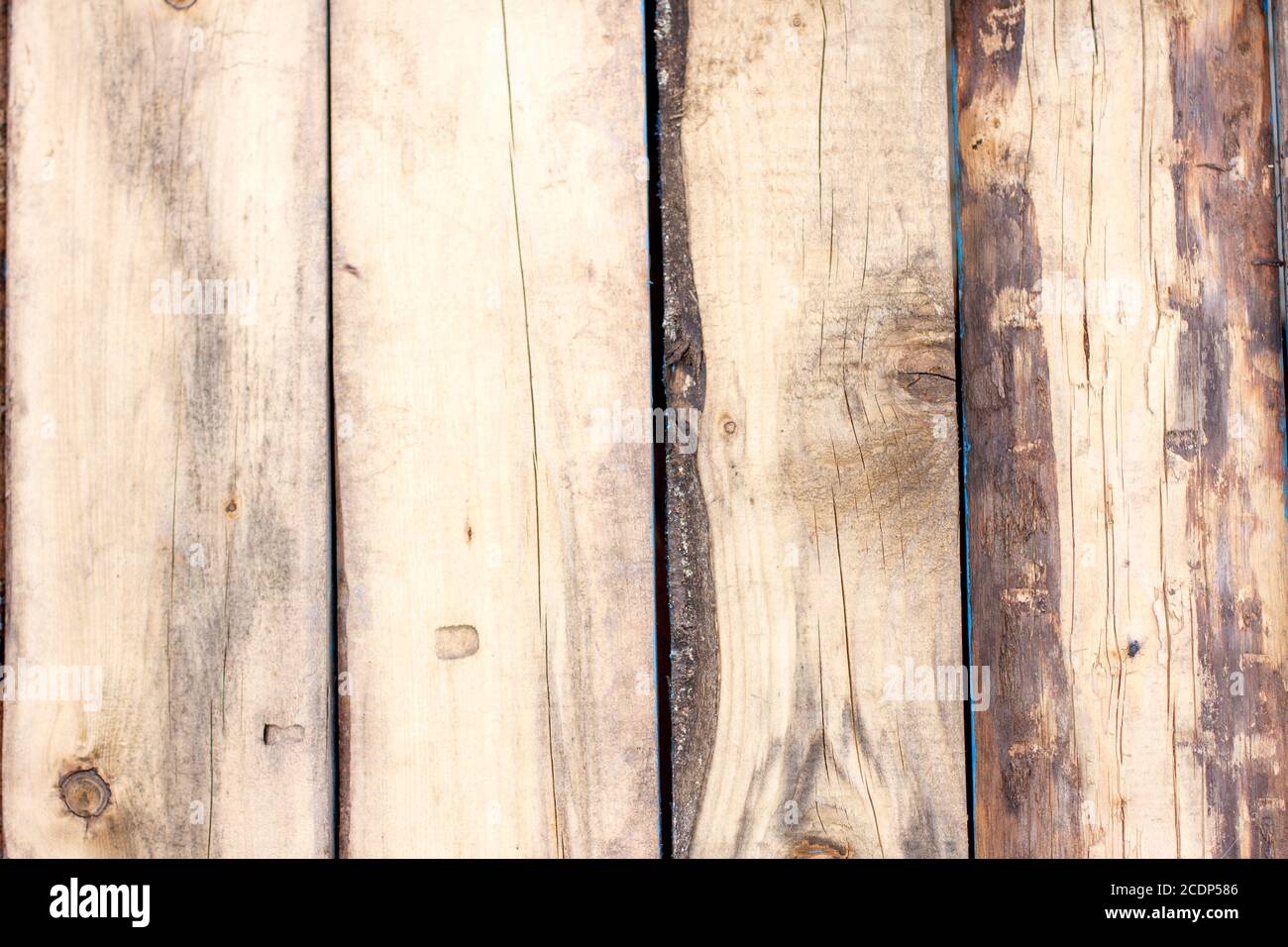 Texture naturale legnosa per lo sfondo. Spazio di copia, banner. Tavole verticali. Foto Stock