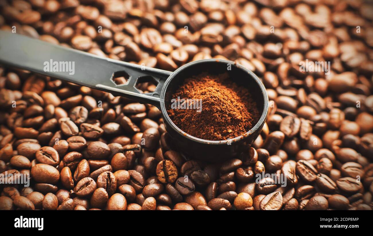 Sui chicchi di caffè tostati e saporiti, si trova un lungo cucchiaio di misurazione nero, elegante e contenente caffè macinato. Foto Stock