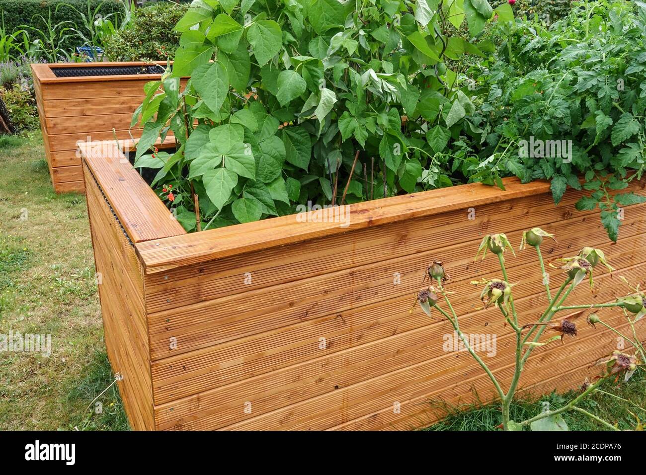 Giardino con letti rialzati Foto Stock