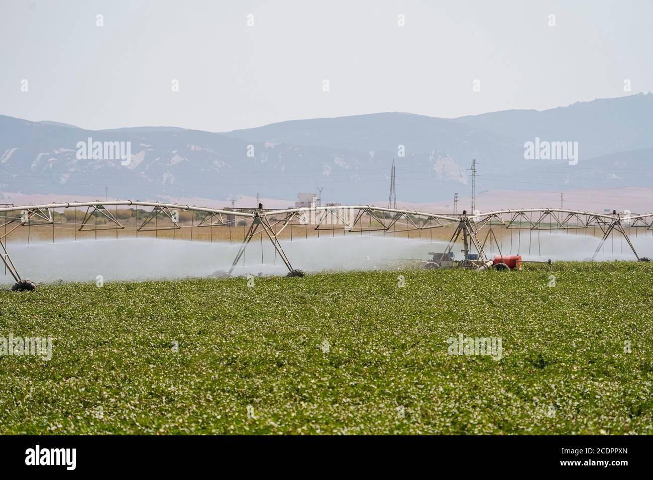 Sistema di irrigazione automatizzato, la Janda, Costa de la Luz, Spagna. Foto Stock