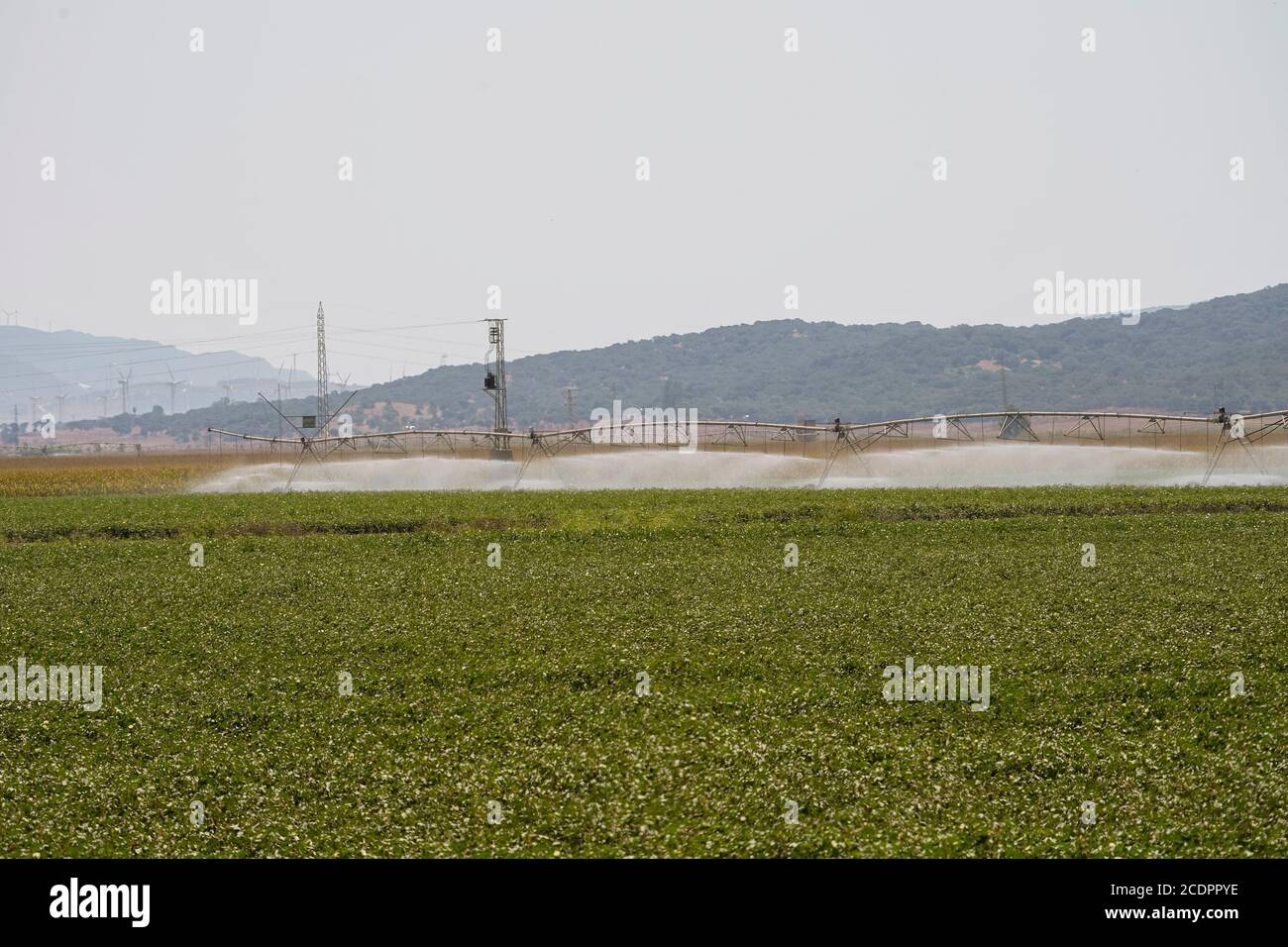 Sistema di irrigazione automatizzato, la Janda, Costa de la Luz, Spagna. Foto Stock
