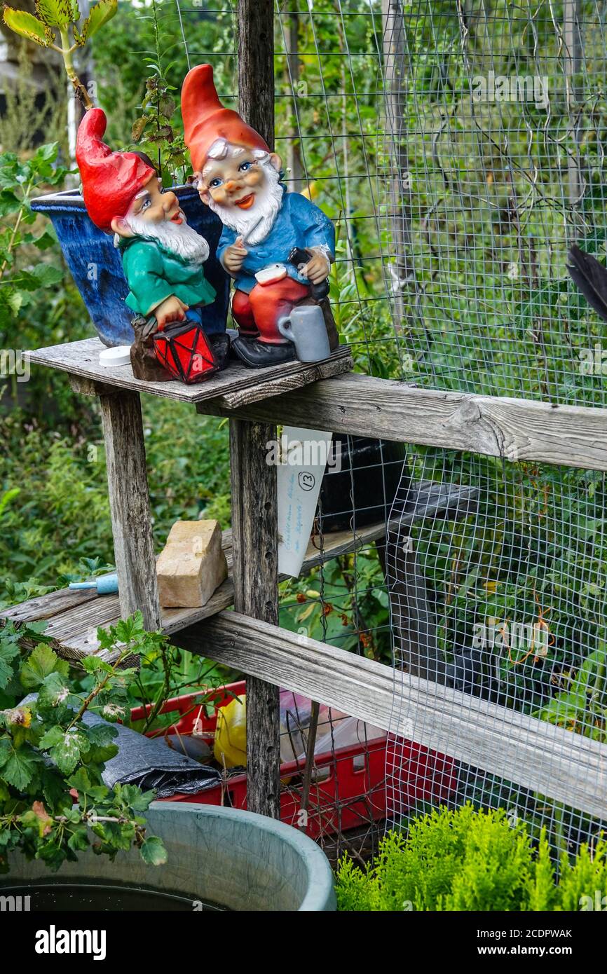 Allotment giardino Germania coppia di giardino gnome tedesco nana Foto Stock
