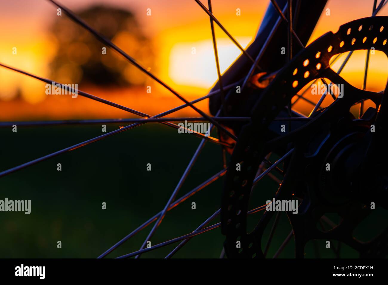 ruota di bicicletta al tramonto Foto Stock