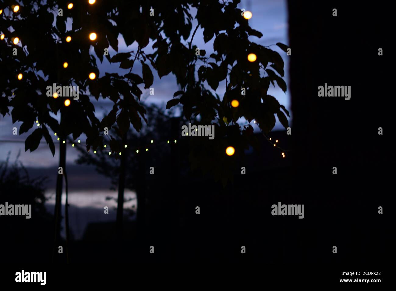 fata luce Foto Stock