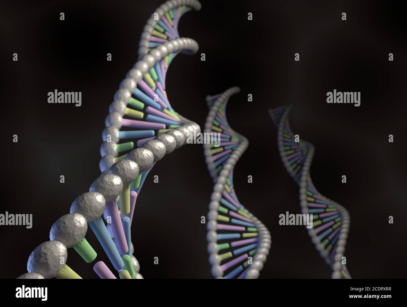Molecola di DNA con codice colore timin guanin adein citosine su nero Foto Stock