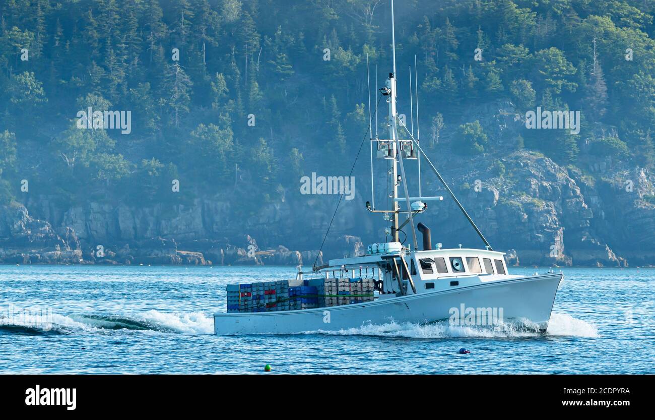 Una barca di pesca dell'aragosta sta dirigendo fuori per una giornata di lavoro mentre la nebbia sta sollevando con l'isola di porcupine sullo sfondo. Foto Stock