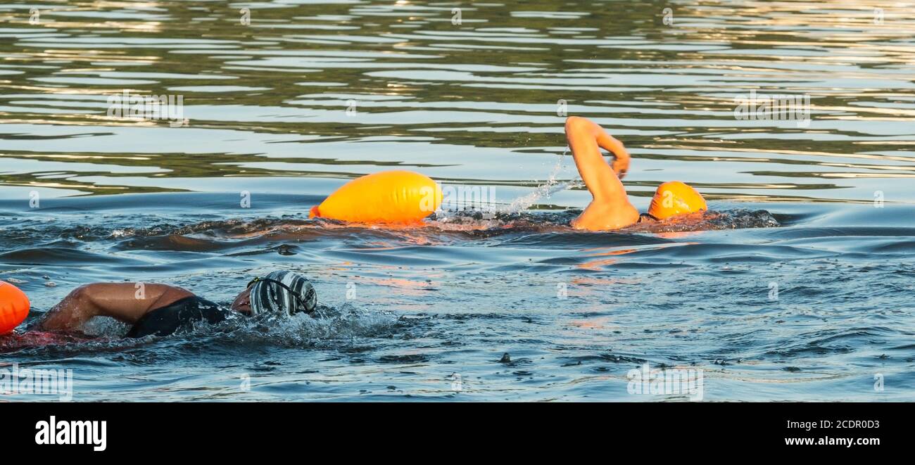 Un caucasion e un afroamericano nuotano fianco a fianco per i triathlon in mare. Foto Stock