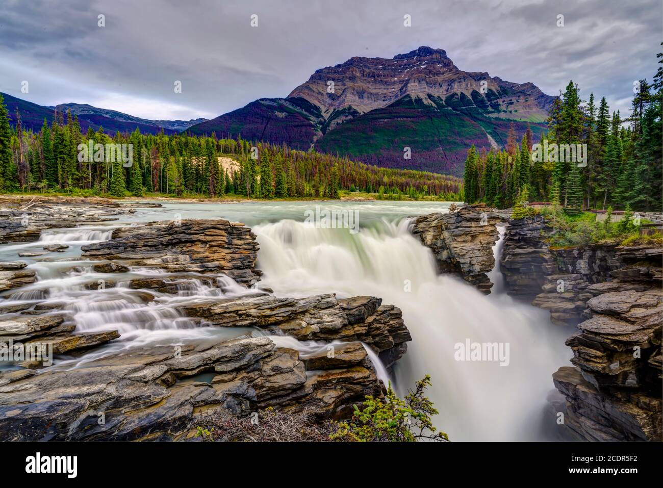 Le cascate di Athabasca lungo la Icefields Parkway, Alberta, Canada. Foto Stock
