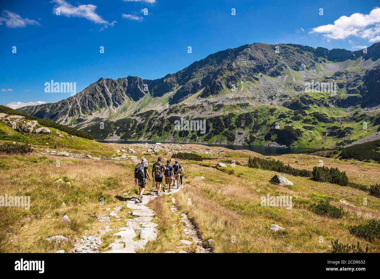 Gruppo di escursionisti passeggiate attraverso la valle in alta montagna. Paesaggio in stile alpino in estate. Turismo all'aperto. Foto Stock