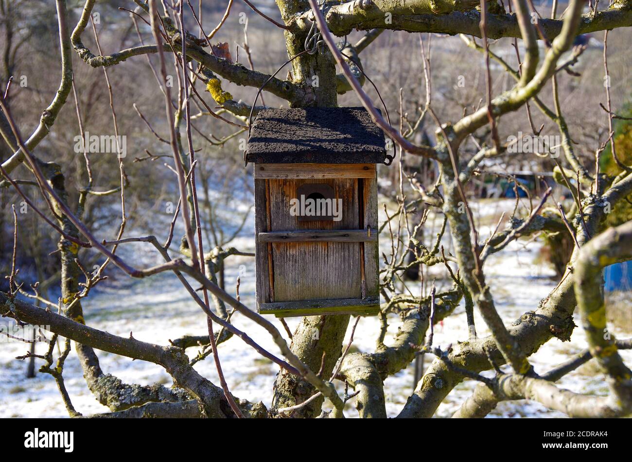 Birdhouse in giardino su un albero in inverno. Foto Stock