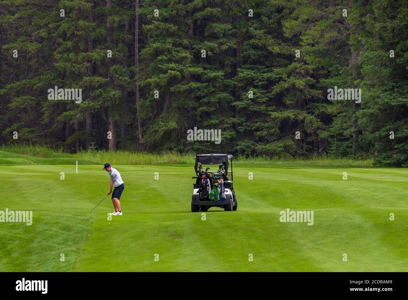 Banff, Alberta, Canada -- 5 agosto 2018. Un golfista solista si prepara ad oscillare su un fairway ben curato a Banff. Foto Stock