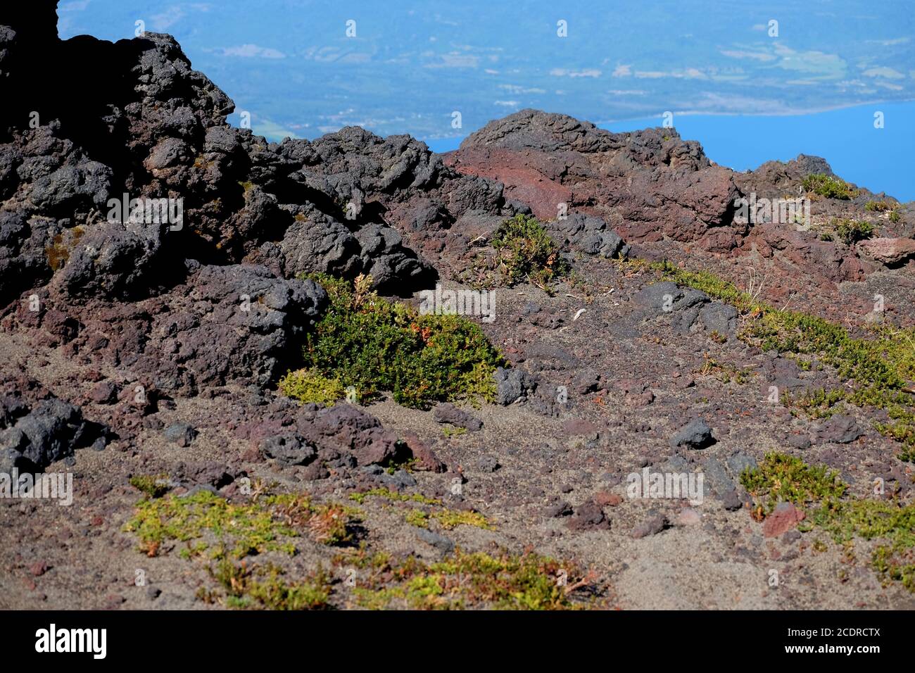 Vulcano Osorno, 2.265 m l'ultima eruzione risale al 1869. Vegatation sta ora crescendo tra le rocce vulcaniche. Foto Stock