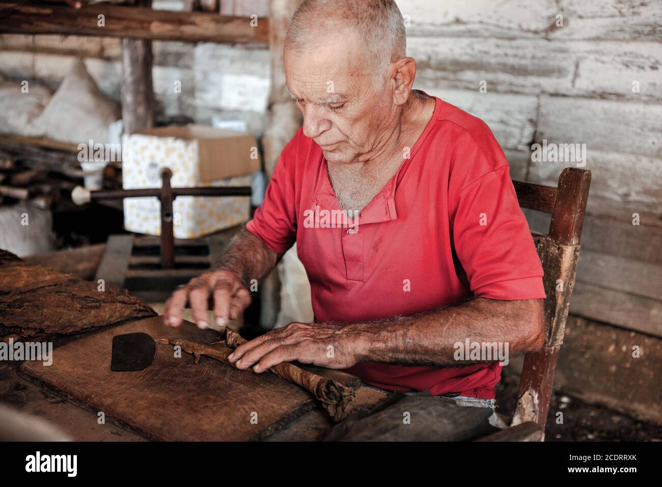 Un uomo anziano lavora su un tradizionale sigaro plantage al fabbrica di tabacco cubana Foto Stock