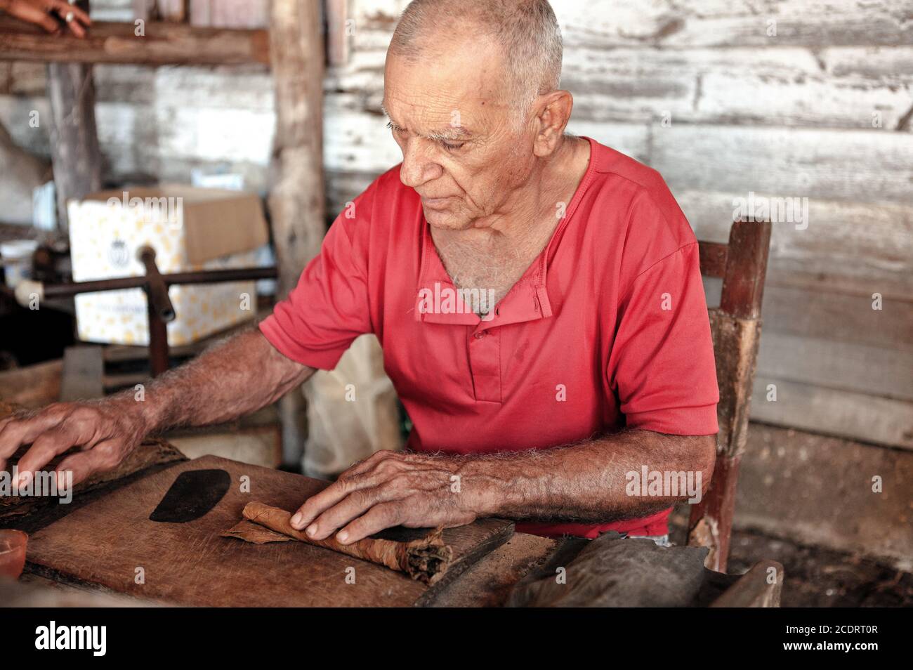 Un uomo anziano lavora su un tradizionale sigaro plantage al fabbrica di tabacco cubana Foto Stock