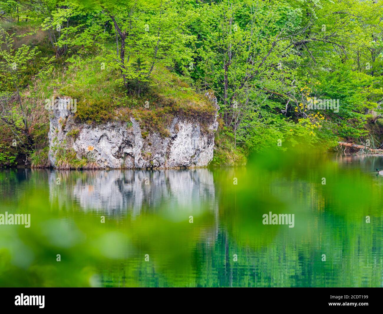 Quiete tranquilla nel Parco Nazionale dei laghi di Plitvice in Croazia Europa acqua flusso d'acqua cascata scenario panoramico Foto Stock