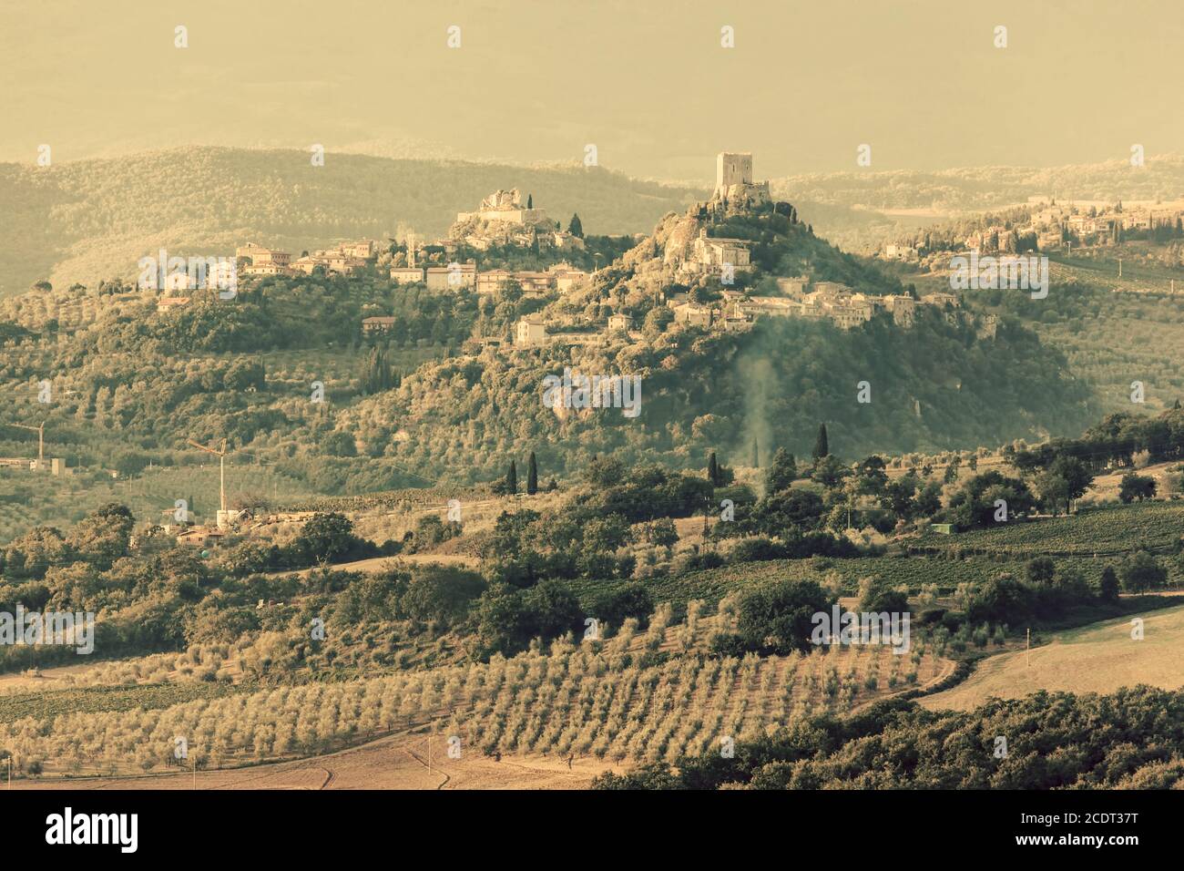 Paesaggio toscano con antico castello, vigneto e verdi colline, Italia. Vintage Foto Stock