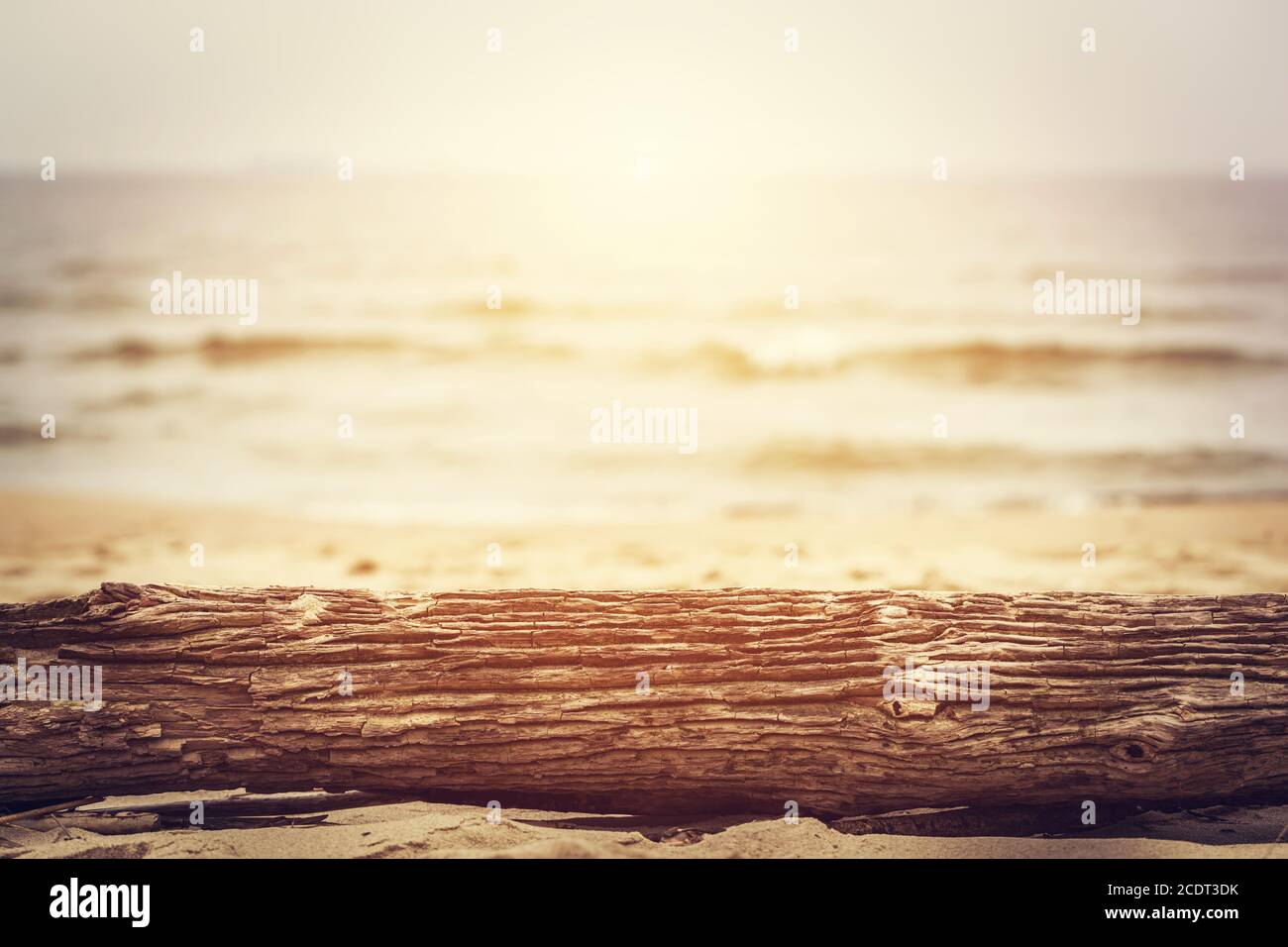 Tronco d'albero sdraiato sulla spiaggia. Oceano sfondo, sole splendente. Foto Stock