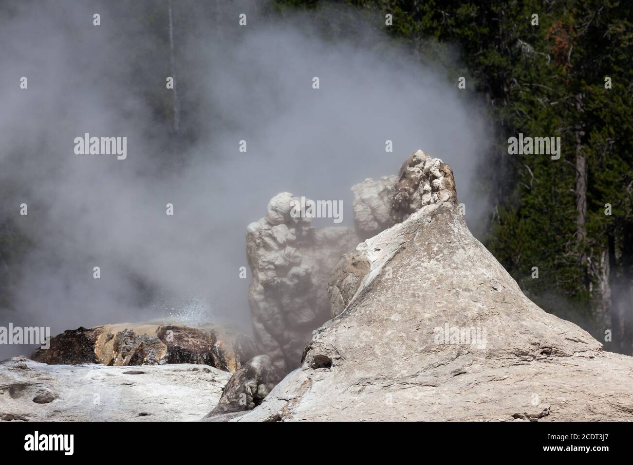 Geyser gigante con Bijou Geyser alle sue spalle, entrambi rilasciando vapore su uno sfondo verde di alberi in una soleggiata giornata estiva nel Parco Nazionale di Yellowstone. Foto Stock