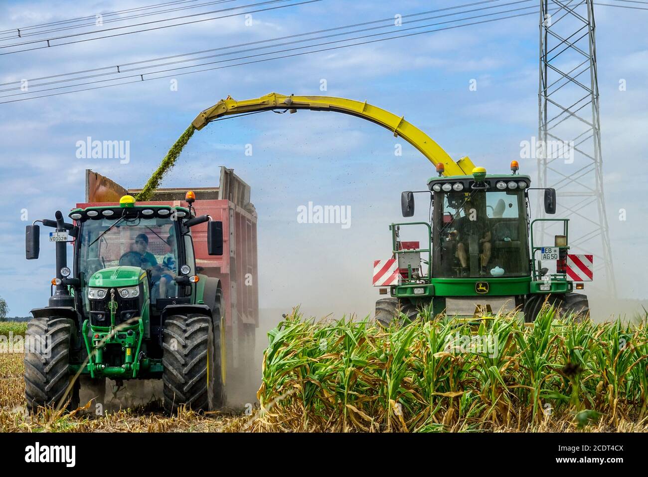 Mietitrebbia mais da taglio su campo mais a rimorchio trattore raccolta Germania Agricoltura macchinari agricoli Foto Stock