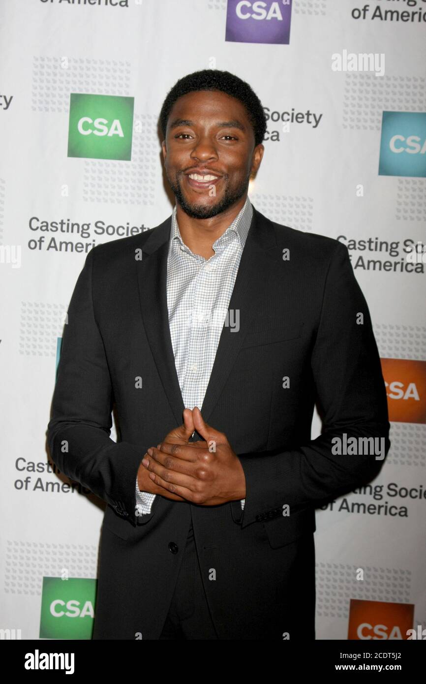 LOS ANGELES - GEN 22: Chadwick Boseman all'American Casting Society presenta il 30° Artios Awards ad un hotel Beverly Hilton il 22 gennaio 2015 a Beverly Hills, CA Foto Stock