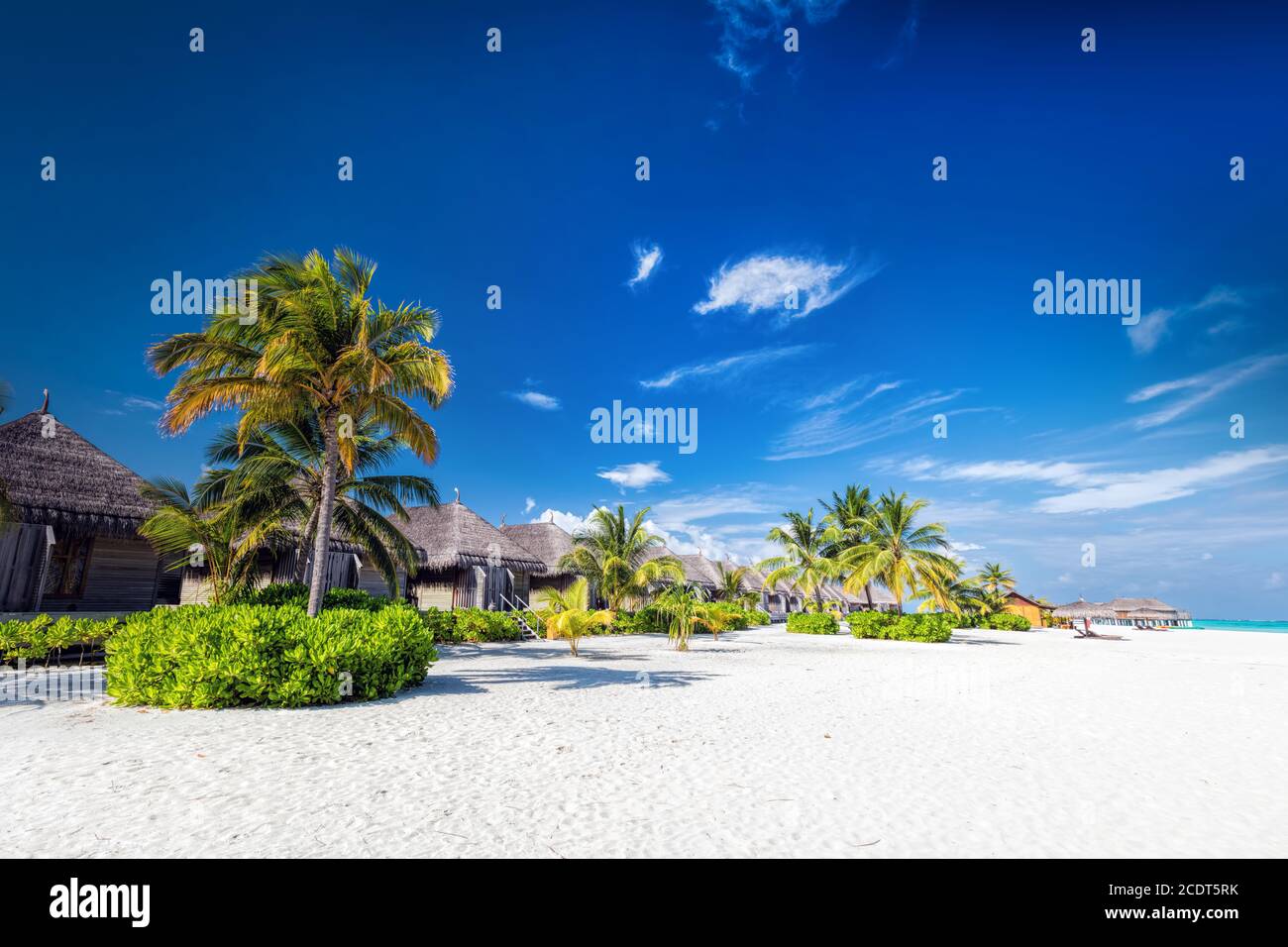 Spiaggia con palme da cocco e ville su una piccola isola resort alle Maldive Foto Stock
