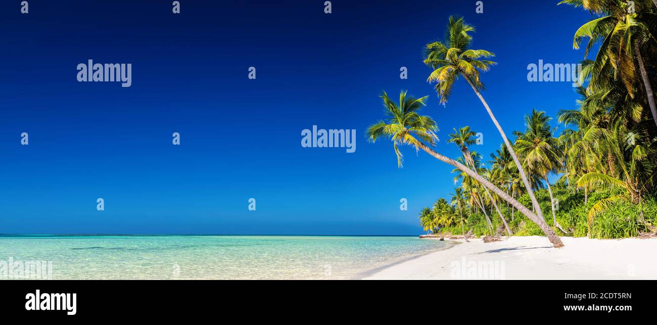Panorama dell'isola tropicale con palme da cocco sulla spiaggia di sabbia. Maldive Foto Stock