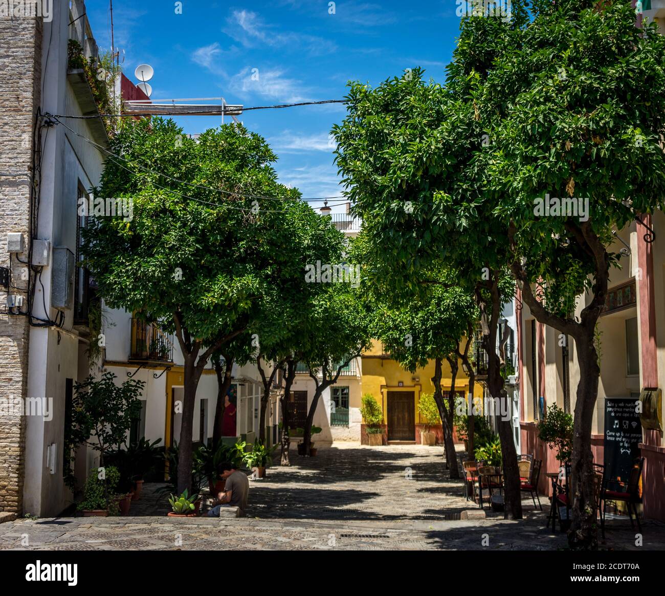 Una vista della strada a Siviglia in una calda giornata estiva con un cielo blu in Spagna, Europa Foto Stock