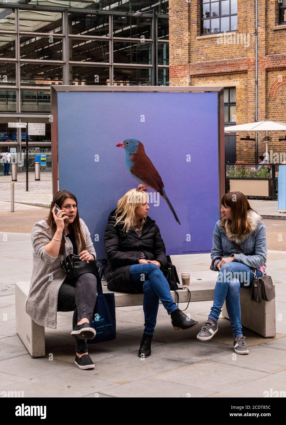 Tre donne sedute su panchina con uccello su poster, Kings Cross, Londra, Inghilterra Foto Stock