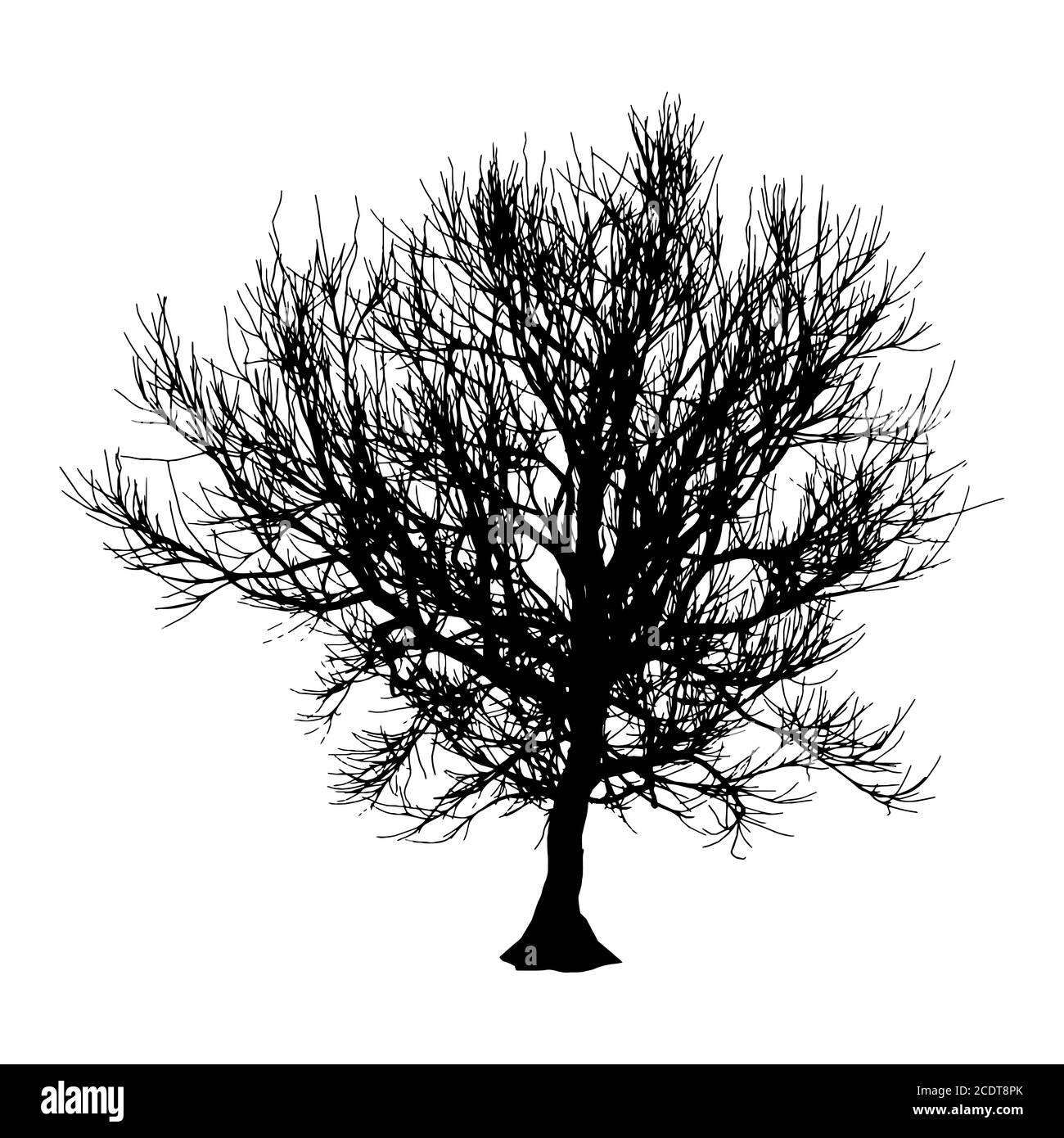 Nero albero secco in inverno o in autunno silhouette su sfondo bianco. illustrazione Foto Stock