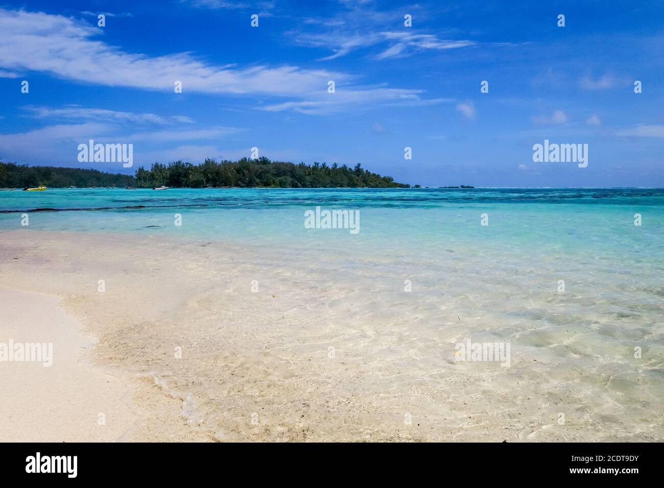 Tropical spiaggia di sabbia bianca e laguna nell'Isola di Moorea Foto Stock