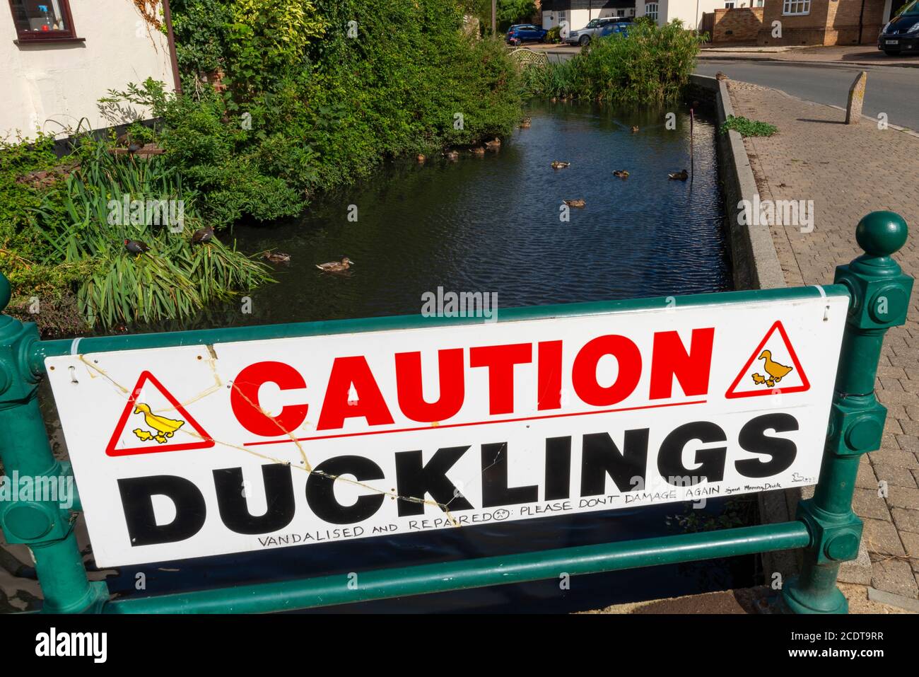 Attenzione Ducklings segno di avvertimento da un laghetto di anatra a Great Wakering, vicino Southend, Essex, UK. Anatre in stagno. Messaggio di richiesta non danneggiare di nuovo Foto Stock