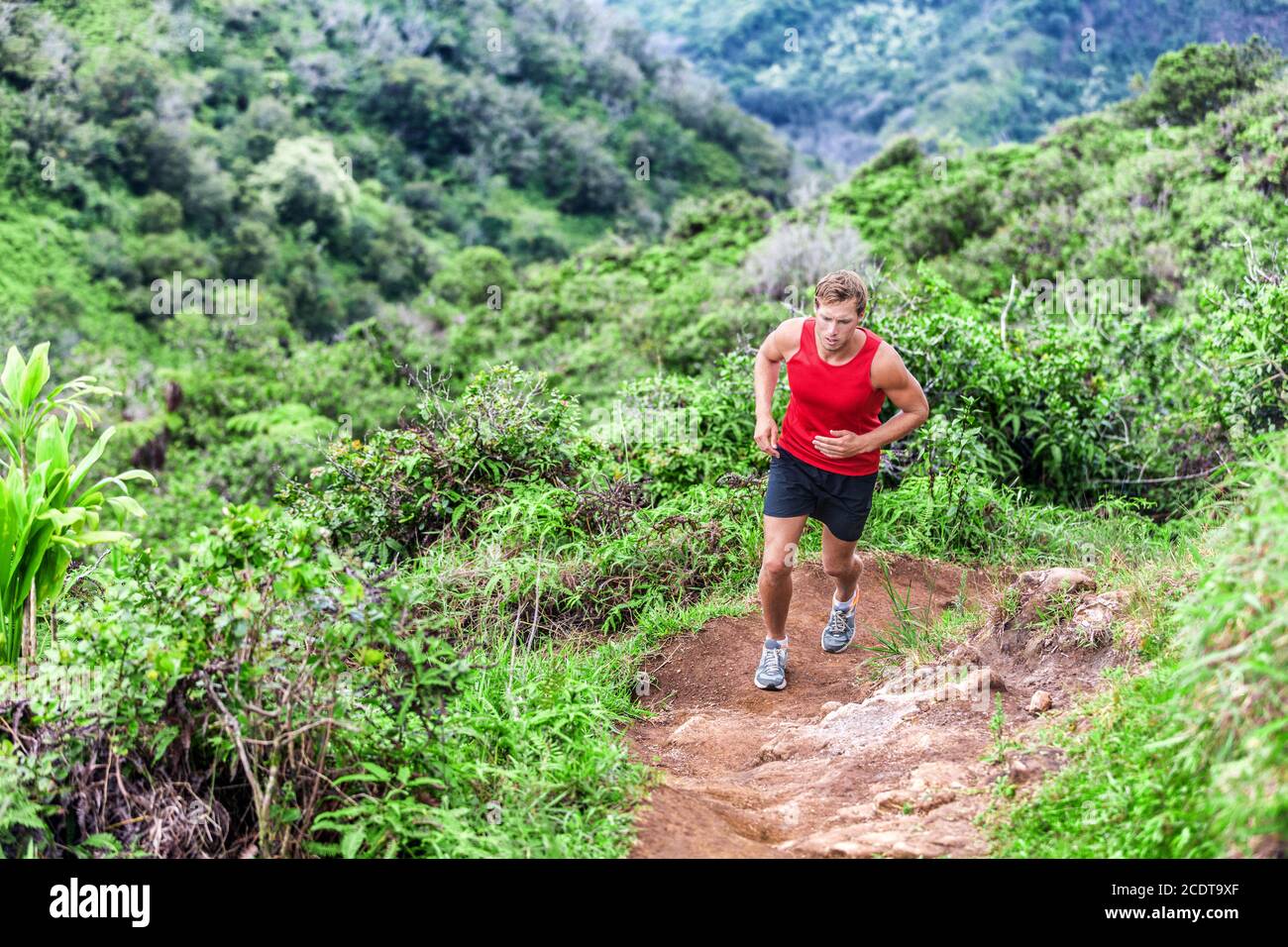 Trail running uomo runner in salita nella foresta di montagna. Maratona da corsa Ultra Running alle Hawaii Foto Stock