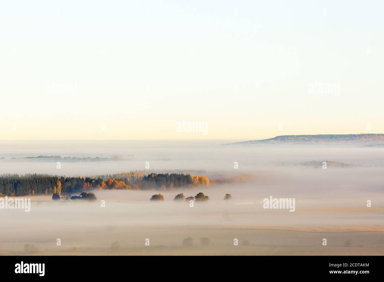 Mattina nebbia sulla pianura con una foresta con colori autunnali Foto Stock