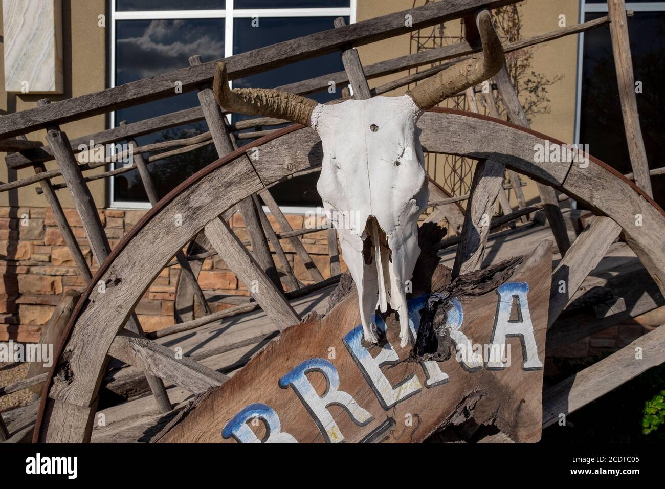 Cranio animale sbiancato del sole sul vecchio carro selvaggio occidentale Foto Stock