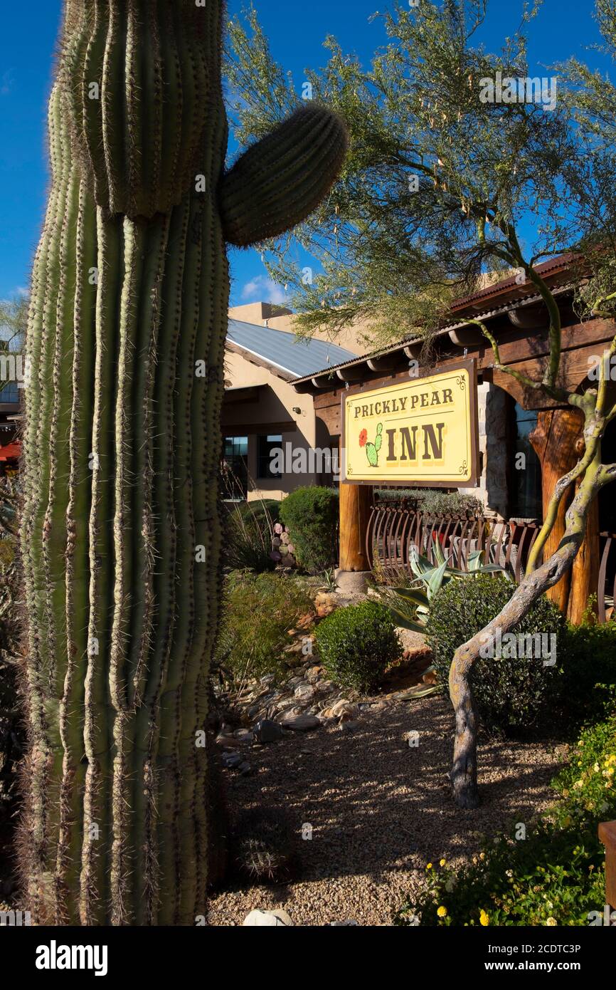 Prickly Pear Inn segno con Saguaro e altri cactus, Arizona, Stati Uniti Foto Stock
