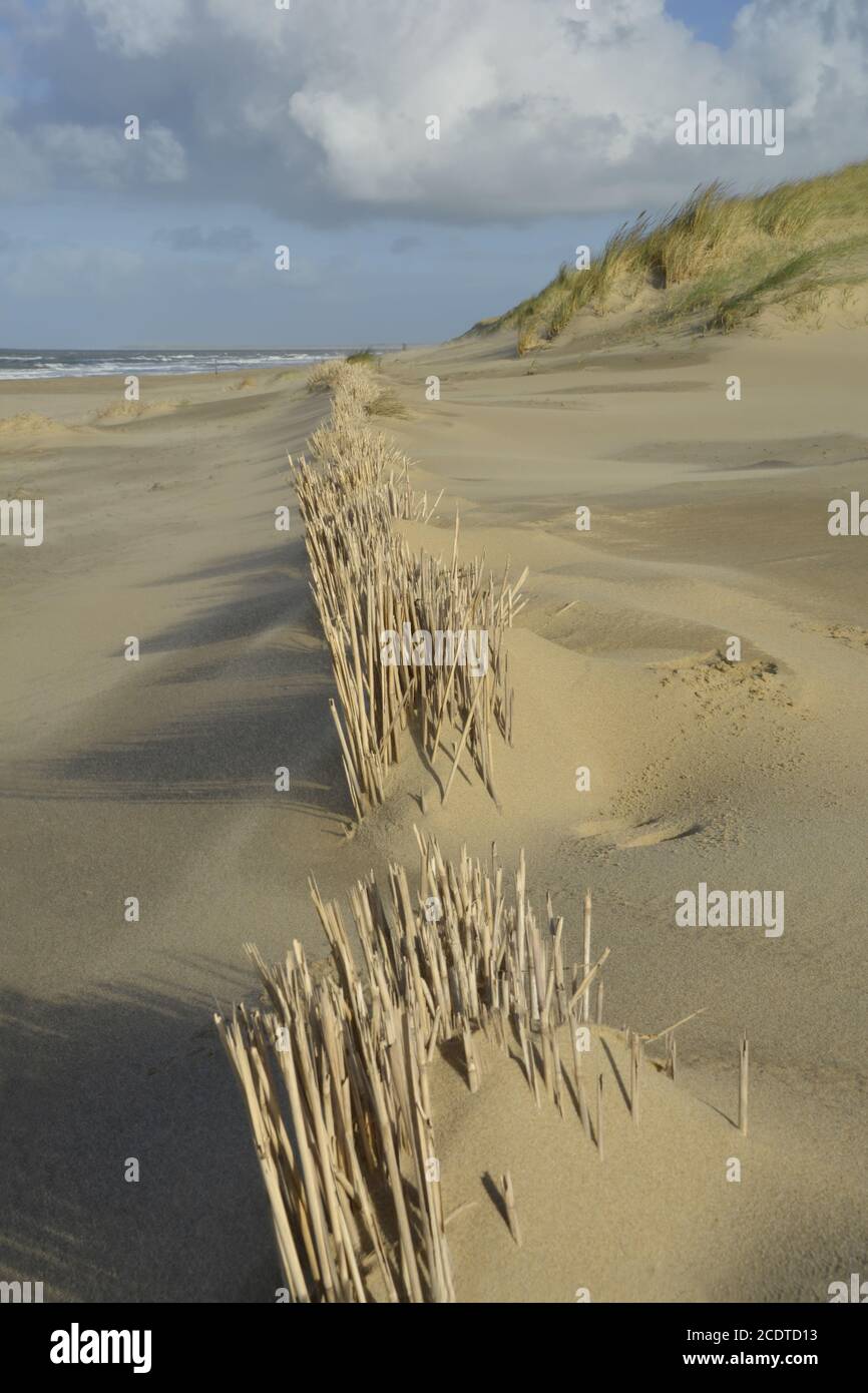 spiaggia di Den Helder Foto Stock