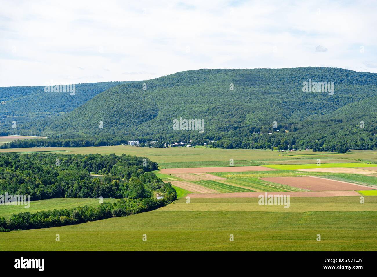 Paesaggio verde scenico nella parte alta dello stato di New York. Foto Stock