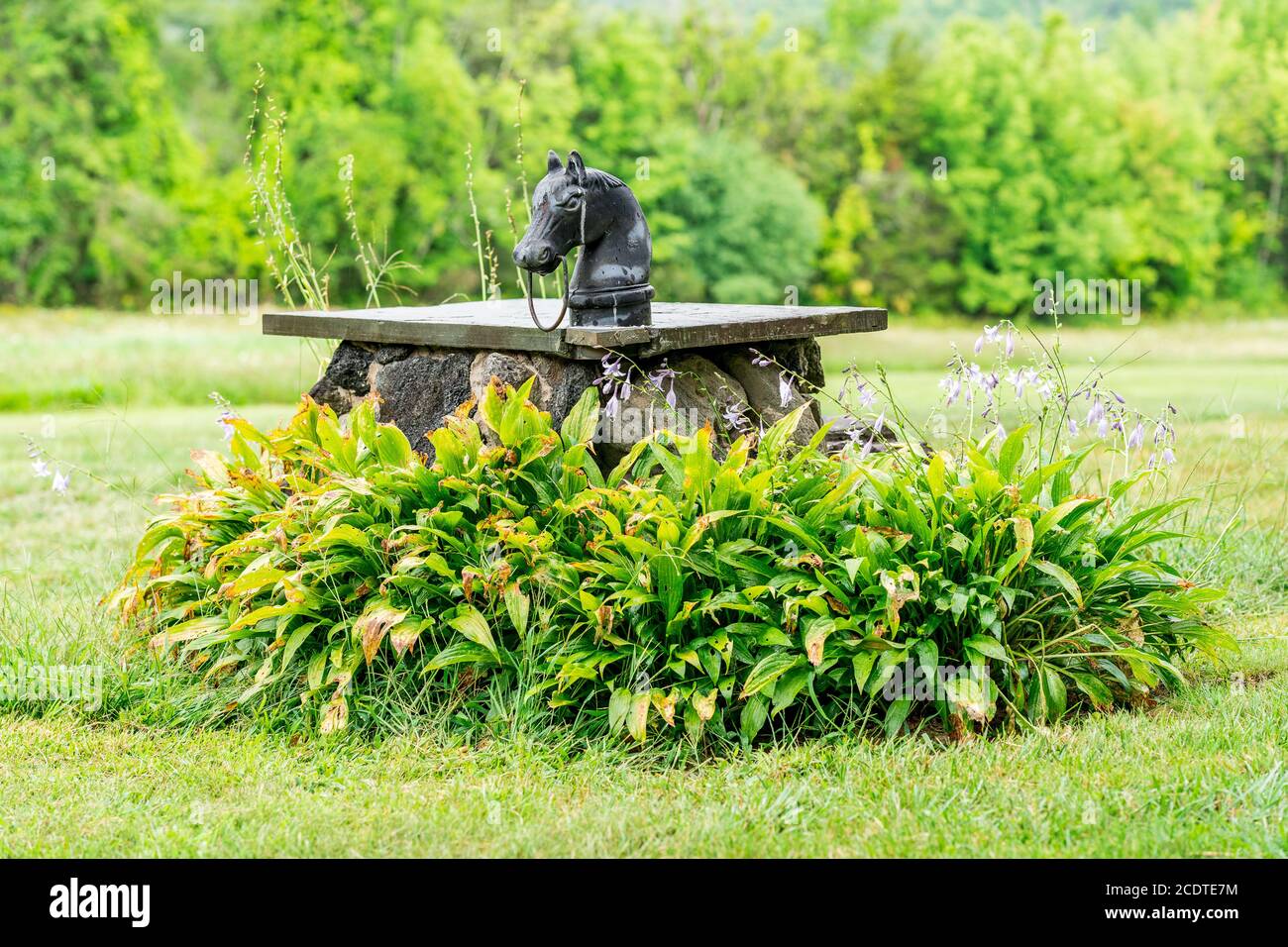 Horse Head Figurine decorazione a New York. Foto Stock