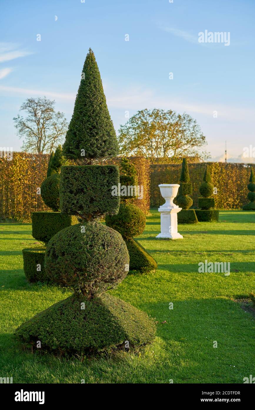La casella alberi in un pubblico barocco parco paesaggio a Hundisburg in Germania Foto Stock