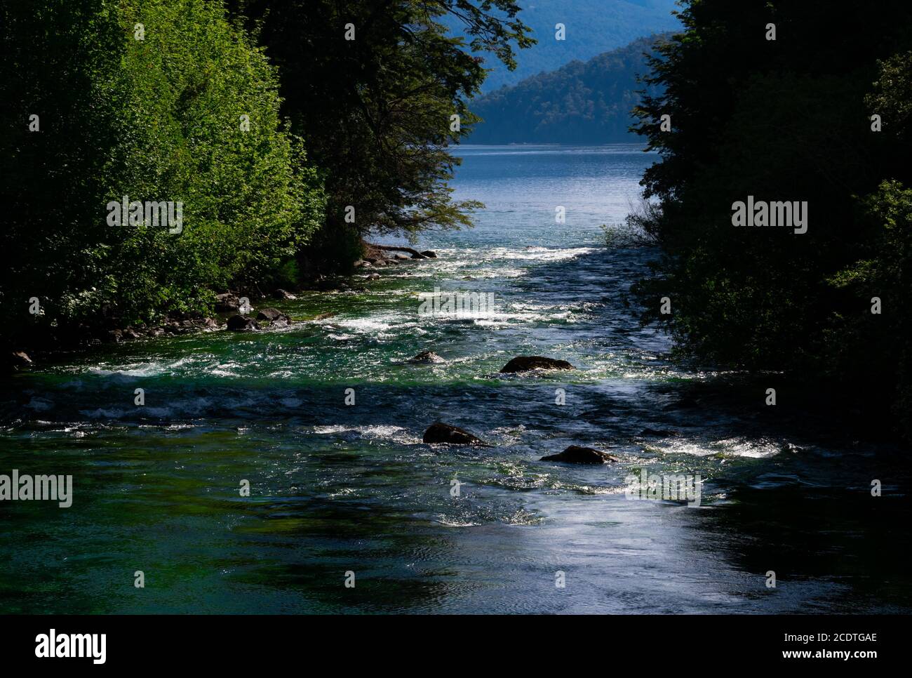 Vista del fiume Correntoso (Rio Correntoso), che corre dal lago Correntoso al lago Nahuel Huapi, che si erge come uno dei fiumi più corti del mondo. Vi Foto Stock