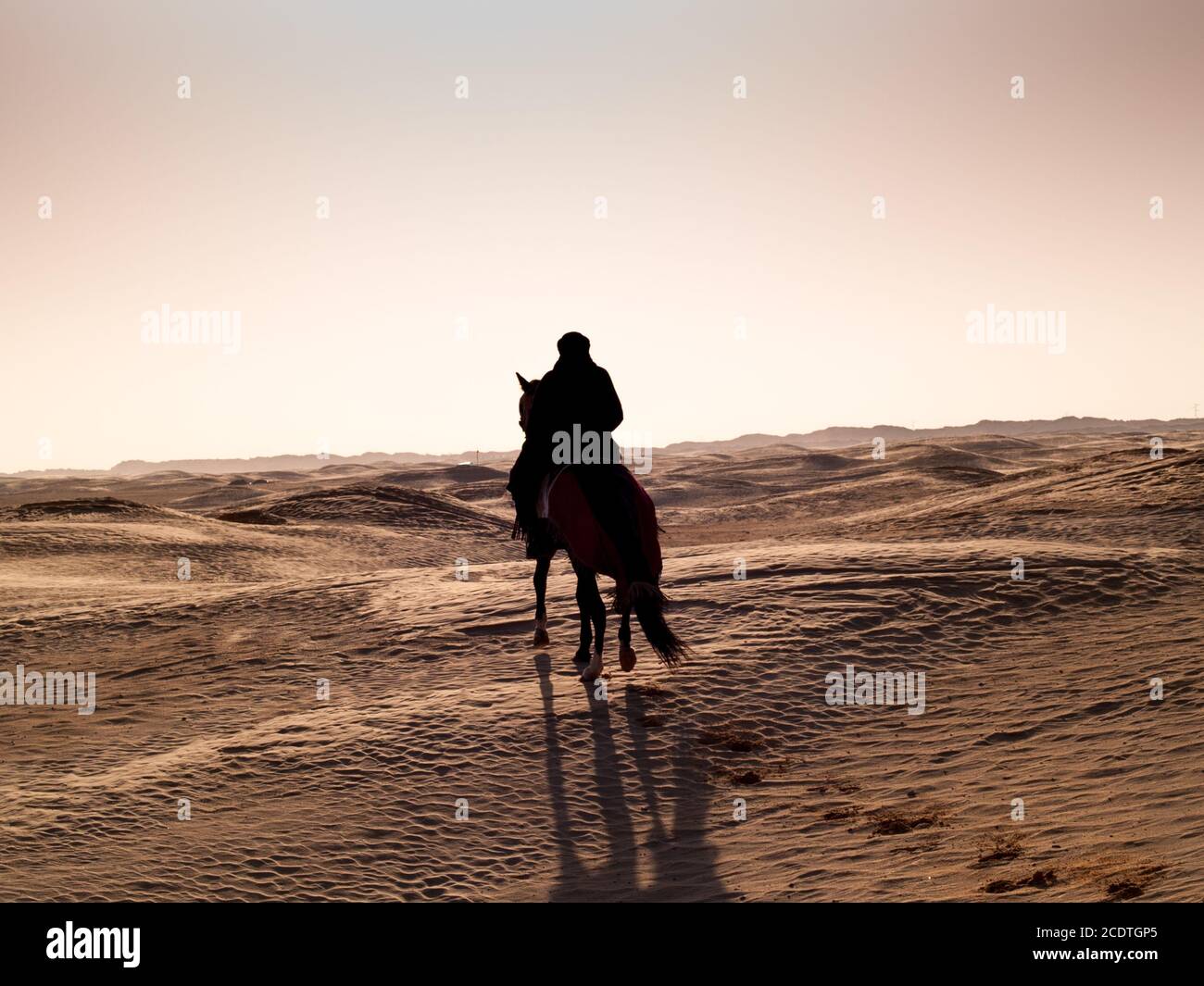 Douz, Tunisia, cavaliere arabo nel deserto al tramonto Foto Stock