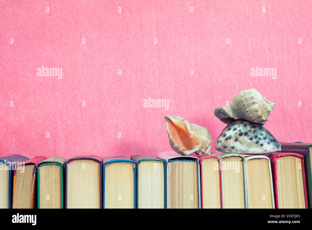 Conchiglie di mare su multicolore di libri a sfondo rosa. Il concetto di istruzione. Spazio di copia Foto Stock