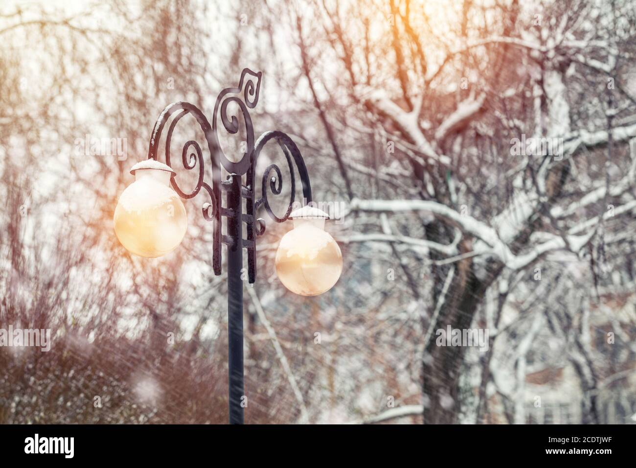 Bellissimo sfondo inverno con alberi di coprire la neve e via la luce. La neve cade, tonica foto, far fronte dello spazio. Foto Stock