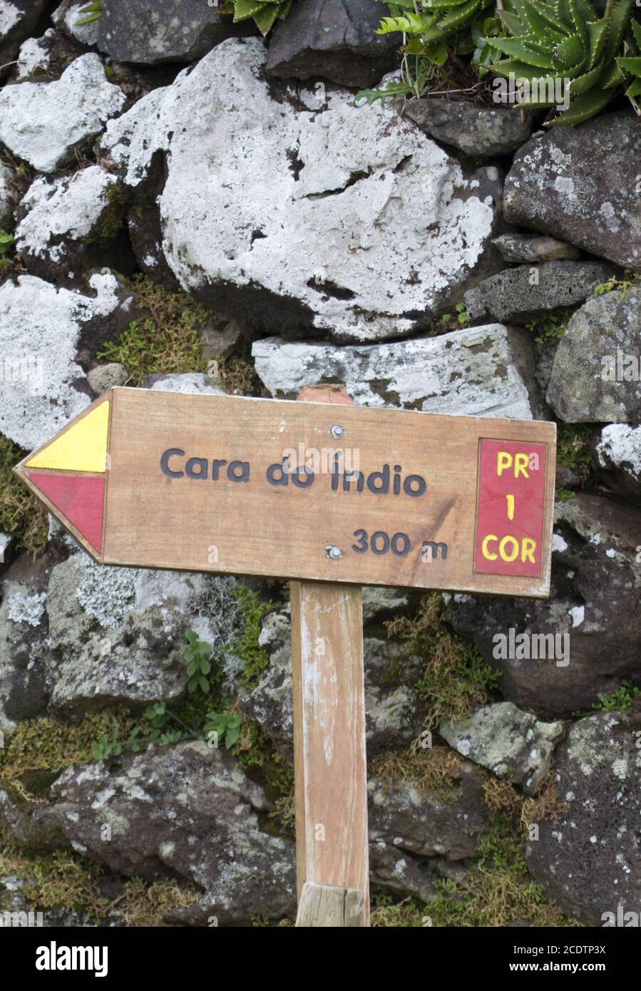 Isola del Corvo, Azoren, Portogallo Foto Stock