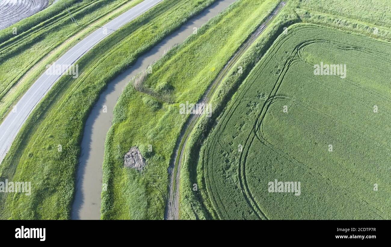 La vista dall'alto del campo di grano e del canale del sistema di irrigazione. Ripresa da un drone. Foto Stock